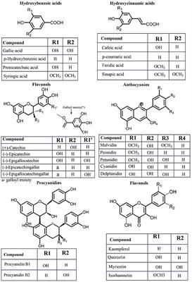 Antioxidant/Pro-Oxidant Actions of Polyphenols From Grapevine and Wine By-Products-Base for Complementary Therapy in Ischemic Heart Diseases